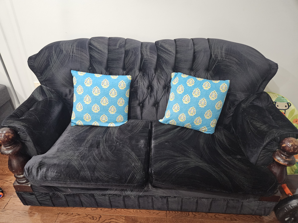 Love Seat #freecycle