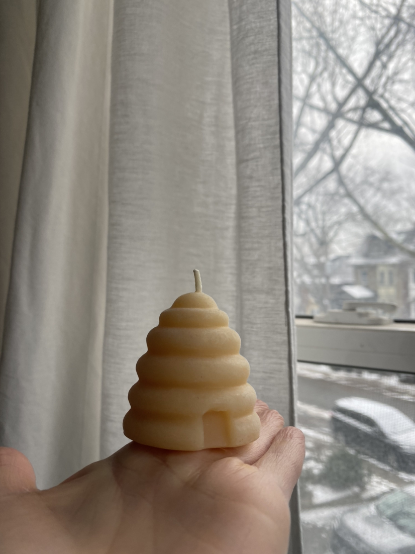 🥕FREE lil beeswax candle