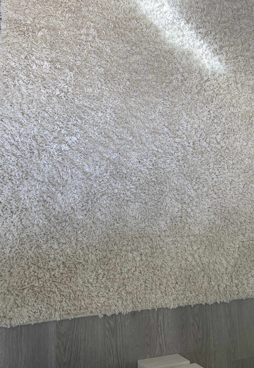 Moving sale Shag RUG 8’x10’ image indicator(5)