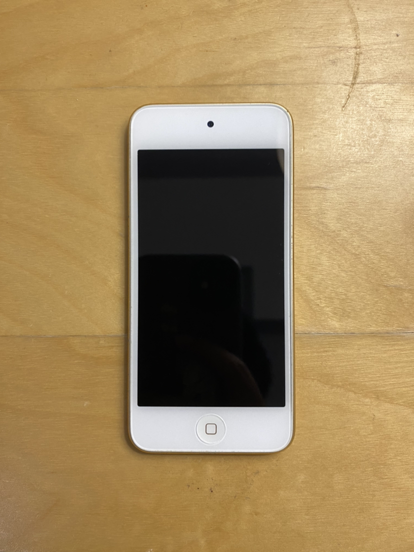 Apple iPod Touch 6th Generation thumbnail