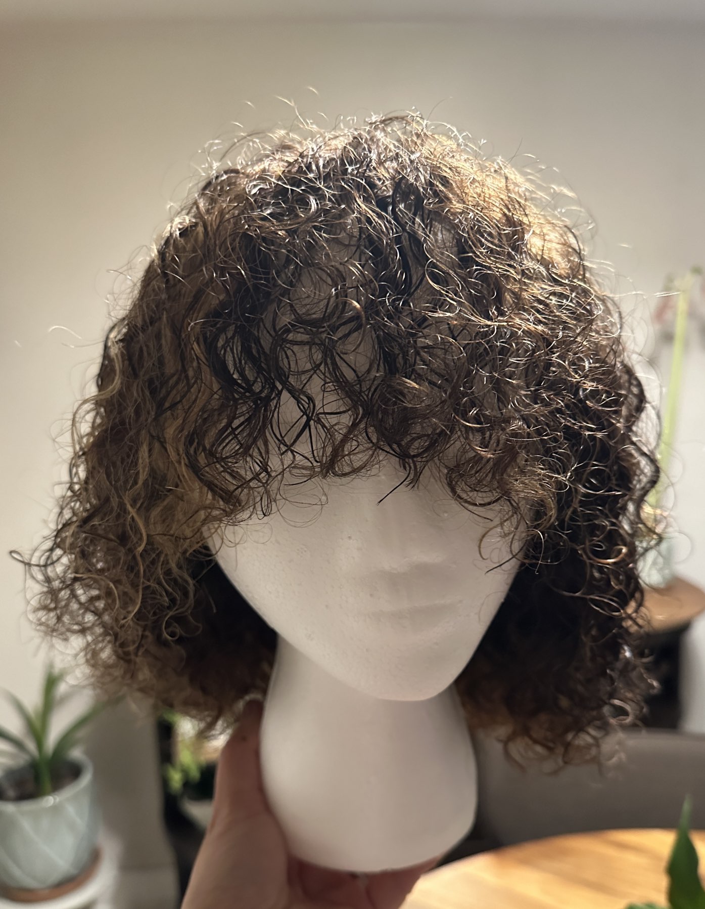 Human Hair Wig - photo 4
