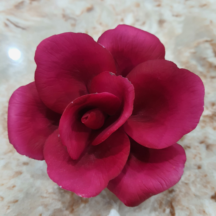 flower figure Napoleon