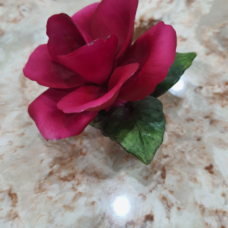 flower figure Napoleon - photo 2