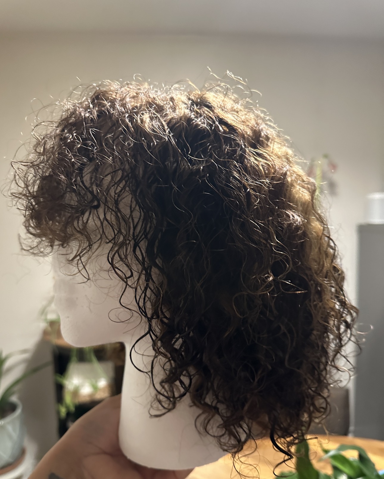 Human Hair Wig