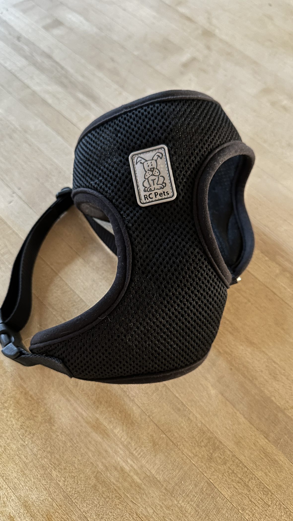 Free - Dog Harness (size small)