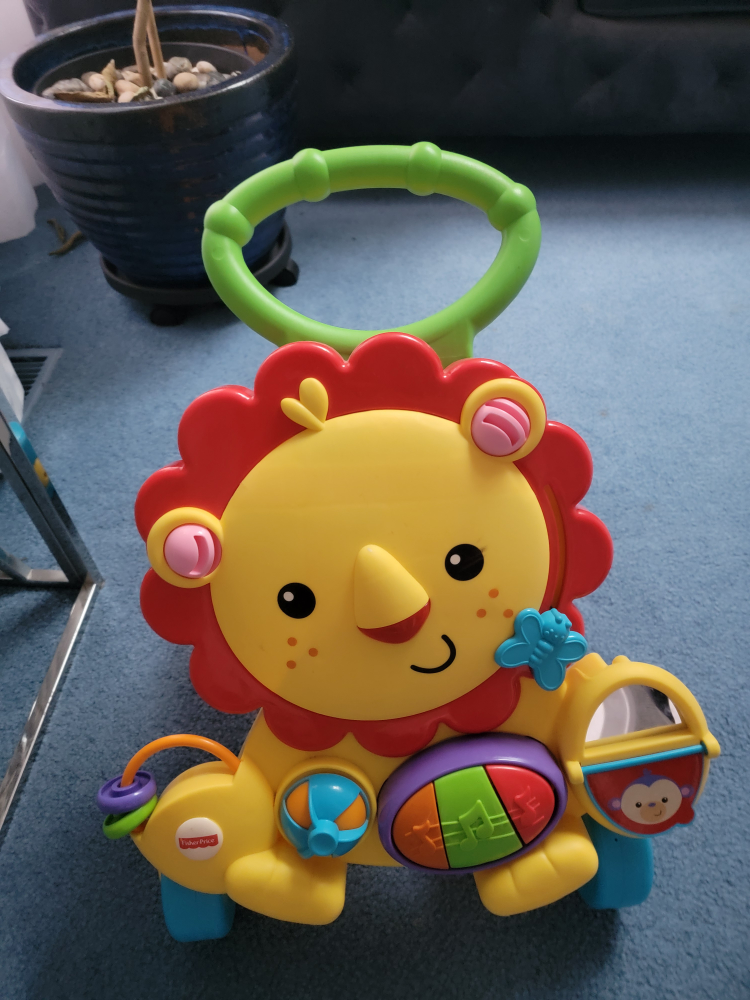 Push toy