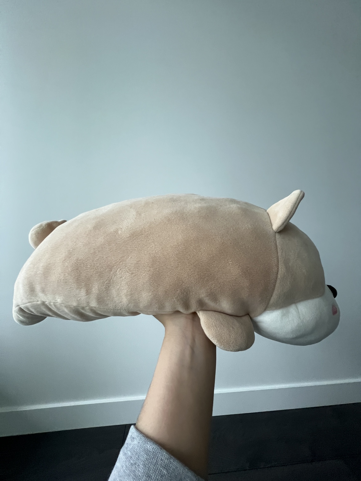 Miniso Dog Plushie - photo 3