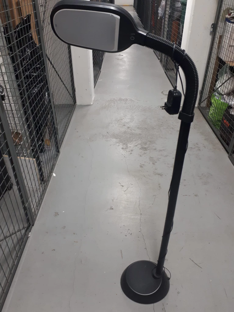 Adjustable LED Floor Lamp