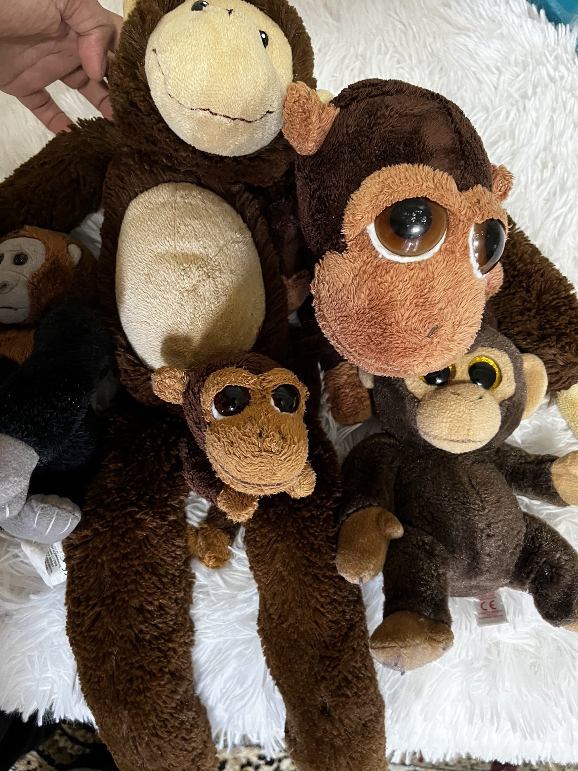 Monkey toys thumbnail