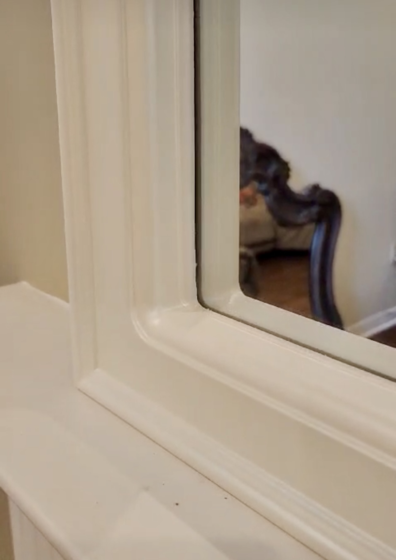 New white mirror image indicator(5)