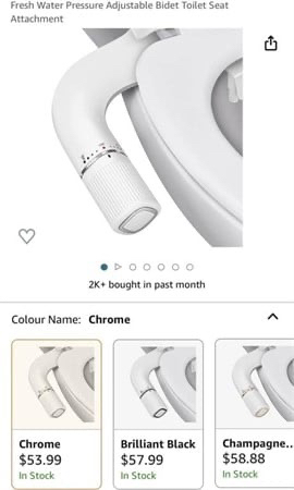 Toilet seat bidet new