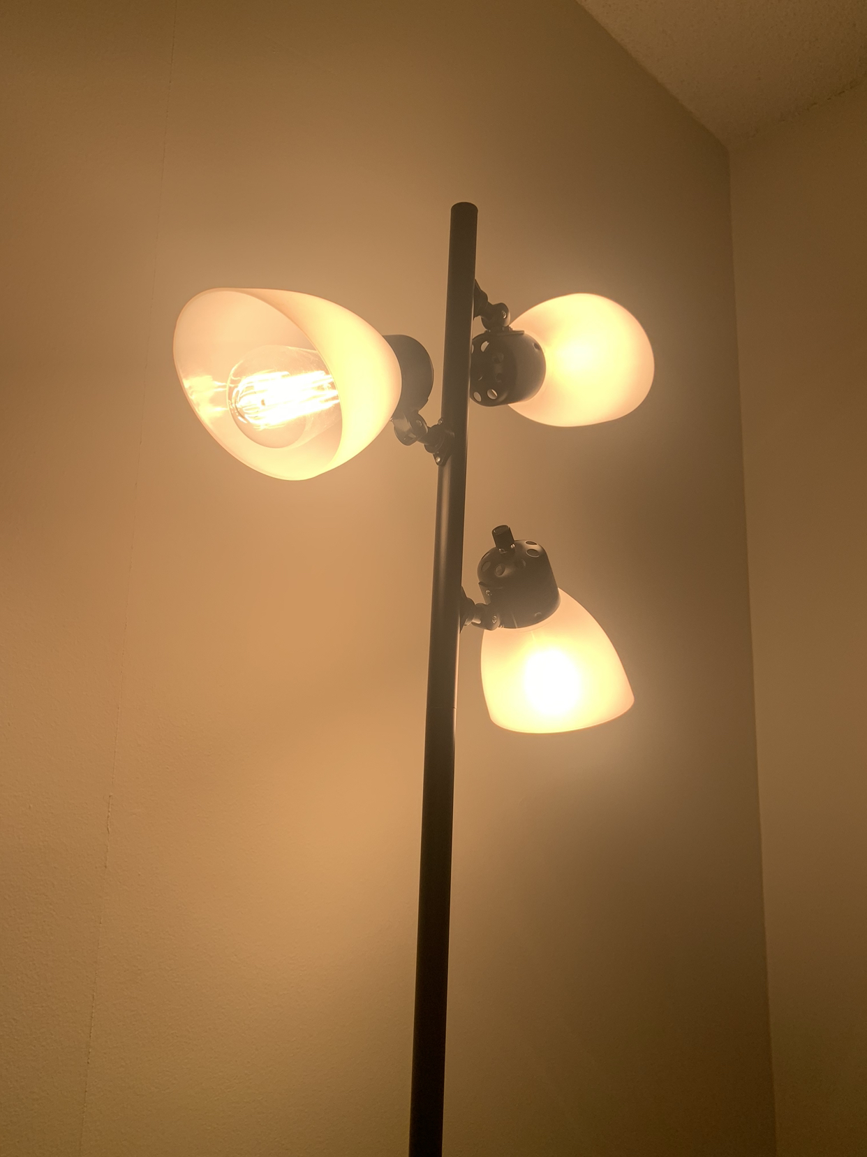 Elegant & Functional 3 Light FLOOR LAMP + 4PCS Hudson Bulbs