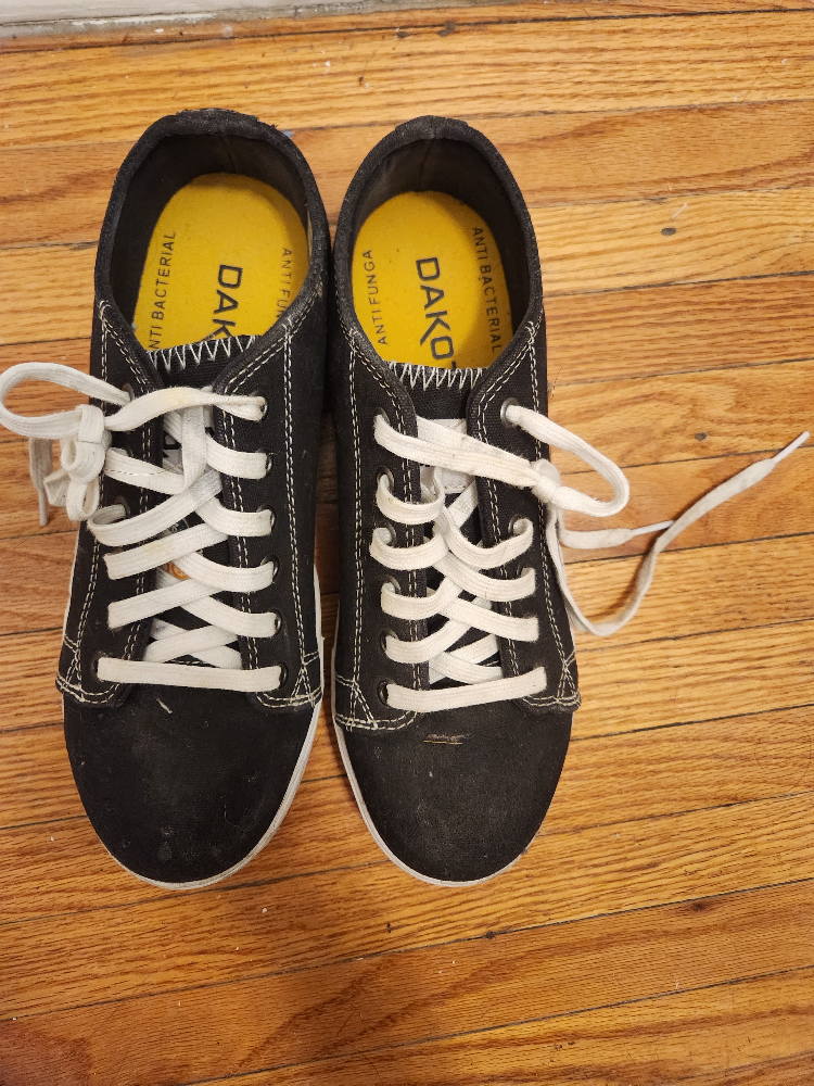 Dakota safety shoes
