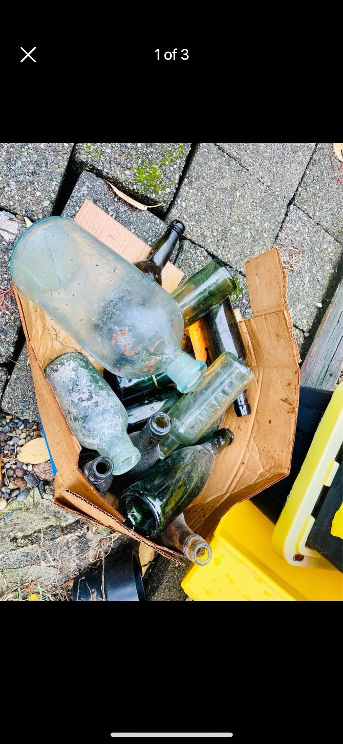 Box of Vintage Antique Bottles Circa 1890s