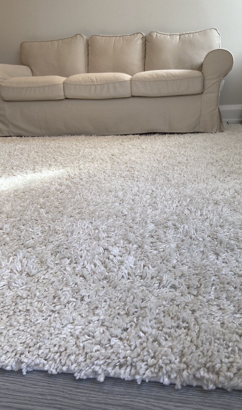 Moving sale Shag RUG 8’x10’ image indicator(3)