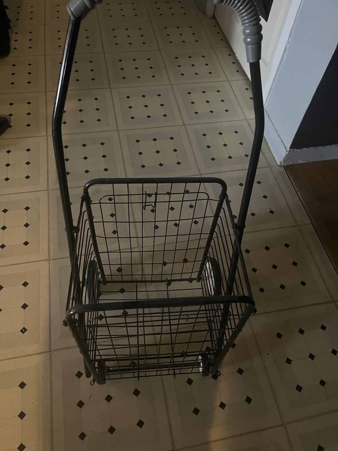 Buggy