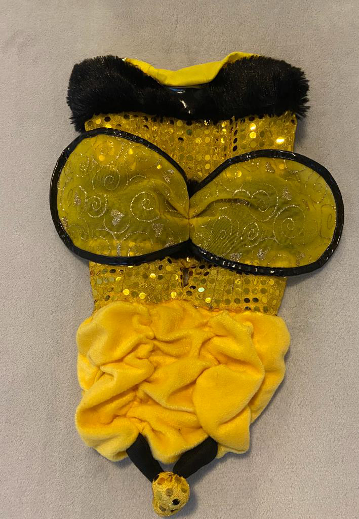 Assorted Clothes for Small Dog image indicator(4)