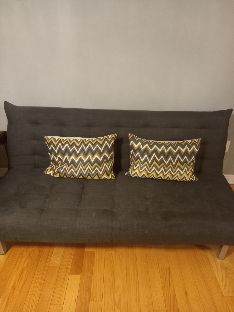 sofa cum bed - photo 2