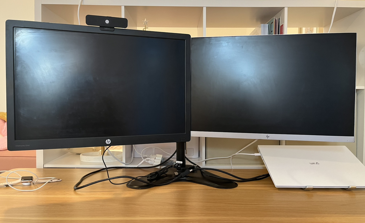 24inch hp Monitors (2) and Stand