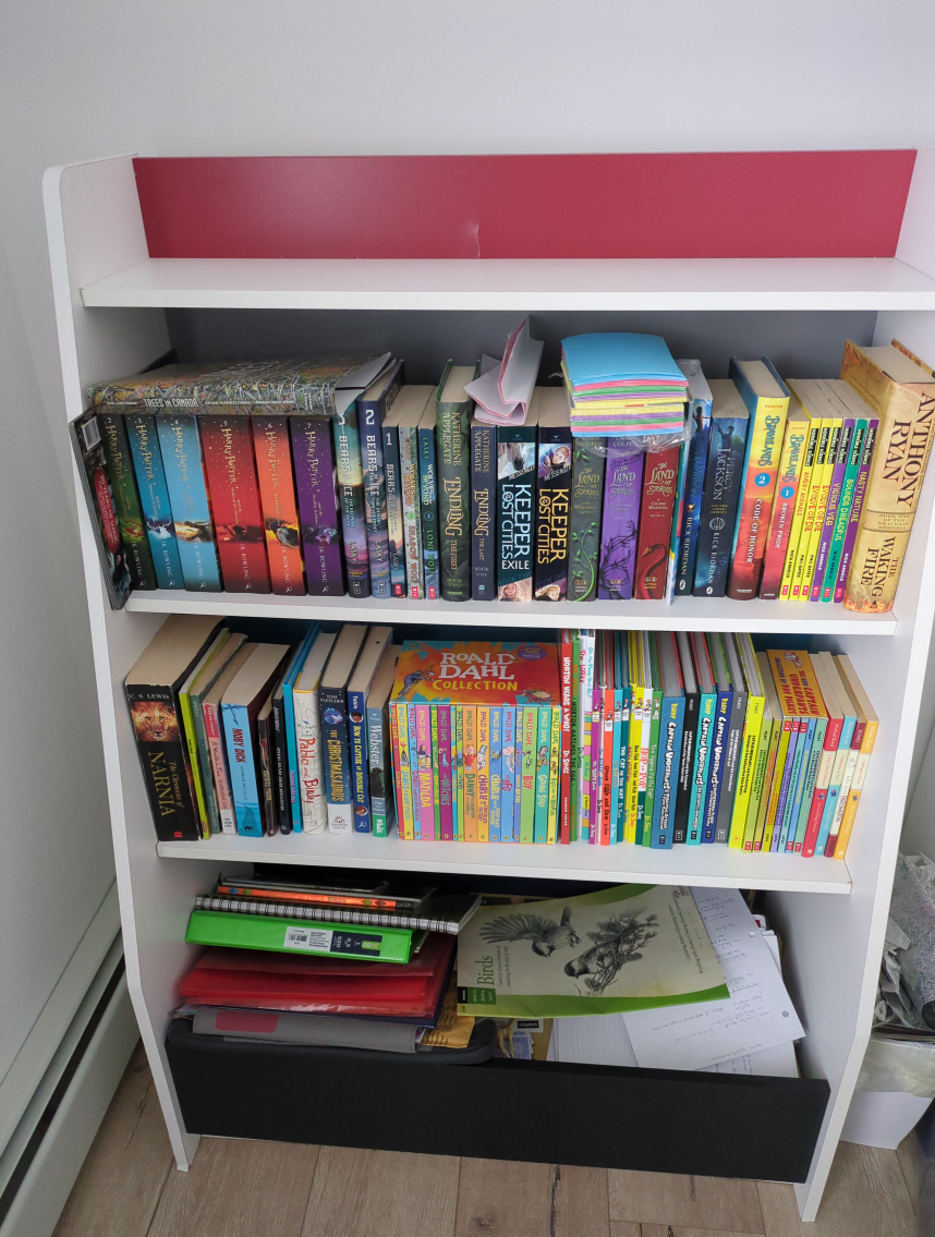 Bookcase, free with condition, pls read description - photo 2