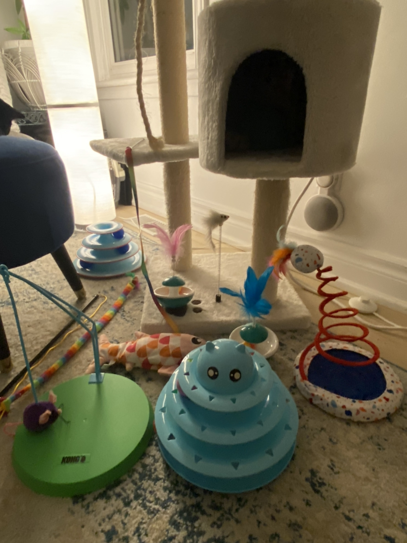 Cat toys - photo 3