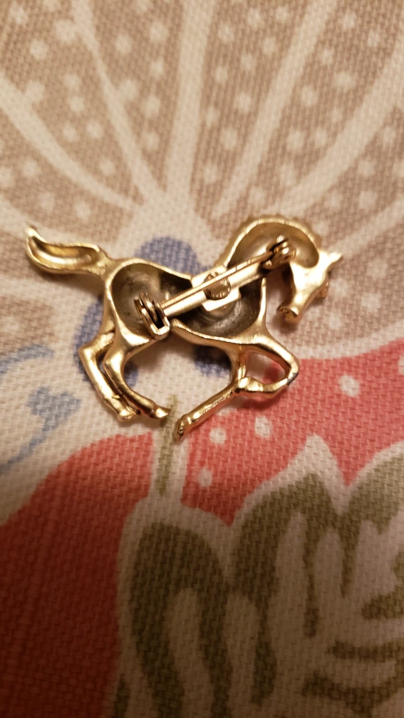 horse pin image indicator(2)