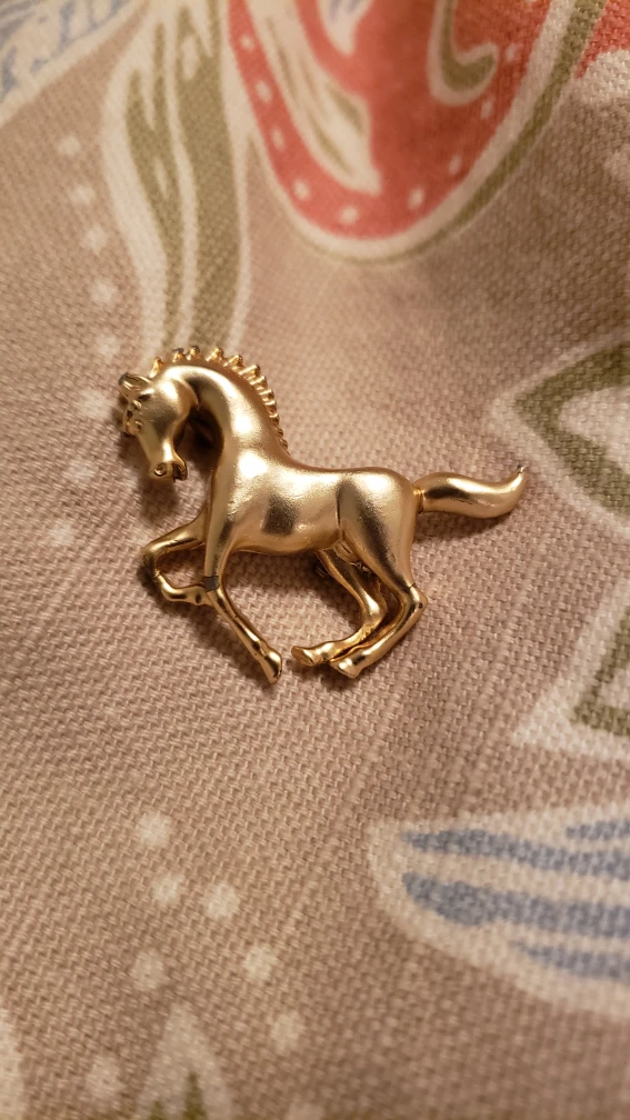 horse pin image indicator(3)