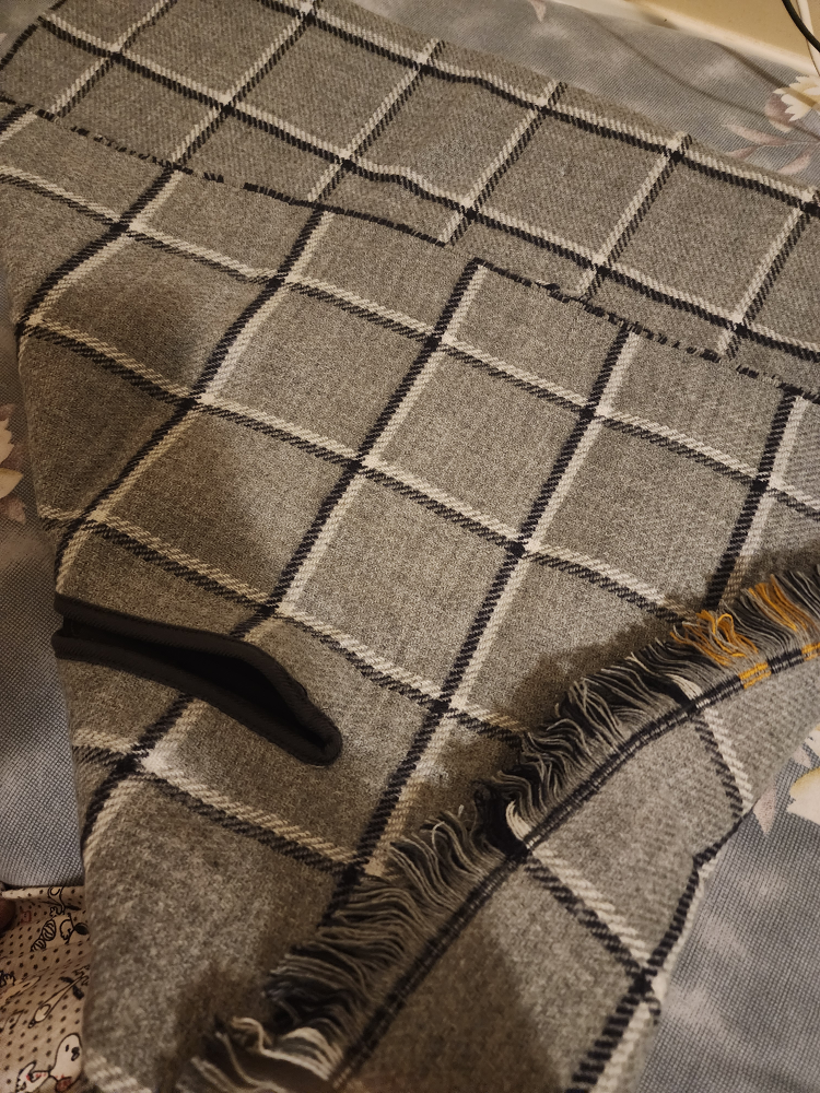 Muffler - photo 4