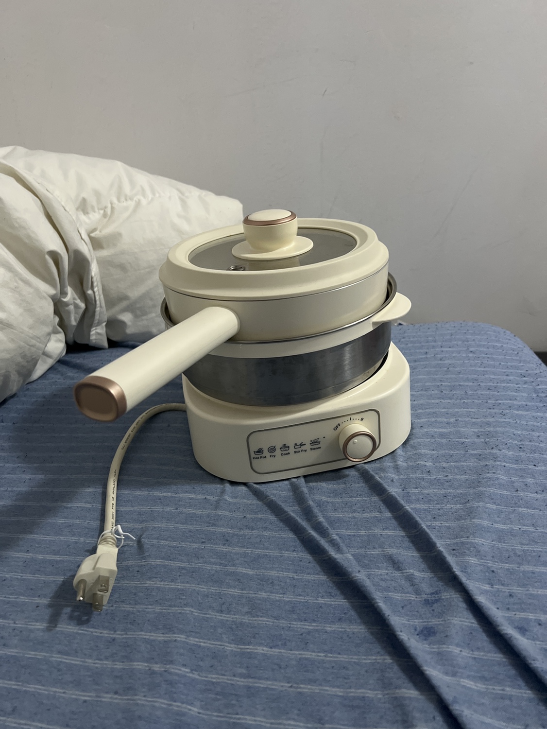 Electric Heat Pan
