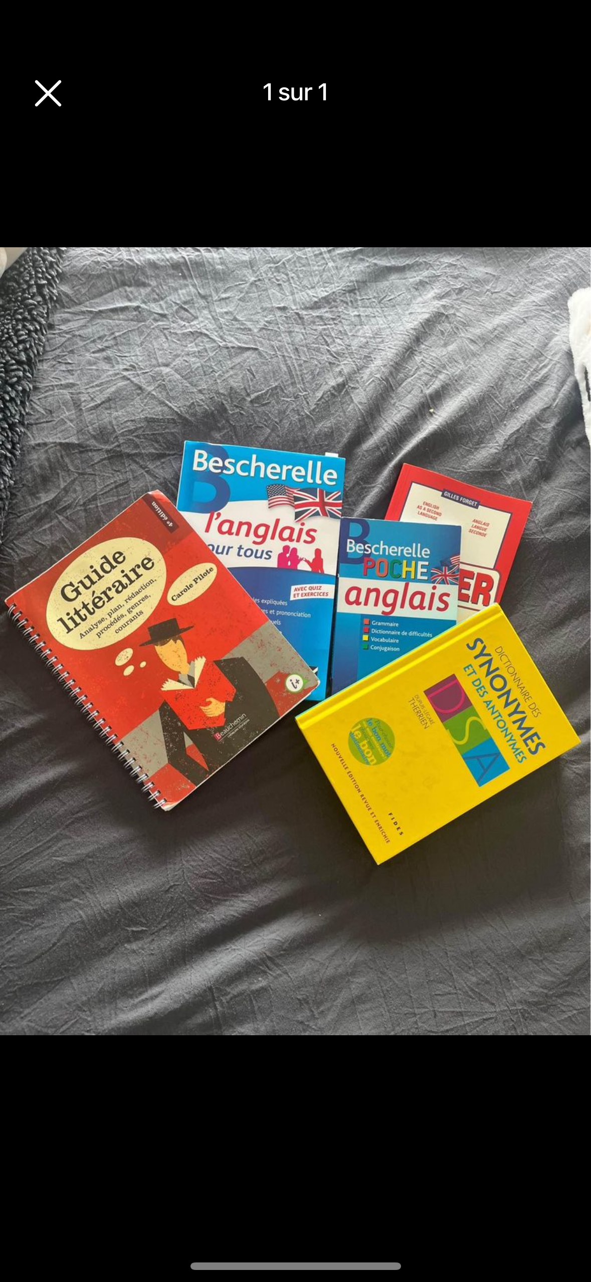 Bundle of French Dictionaries thumbnail