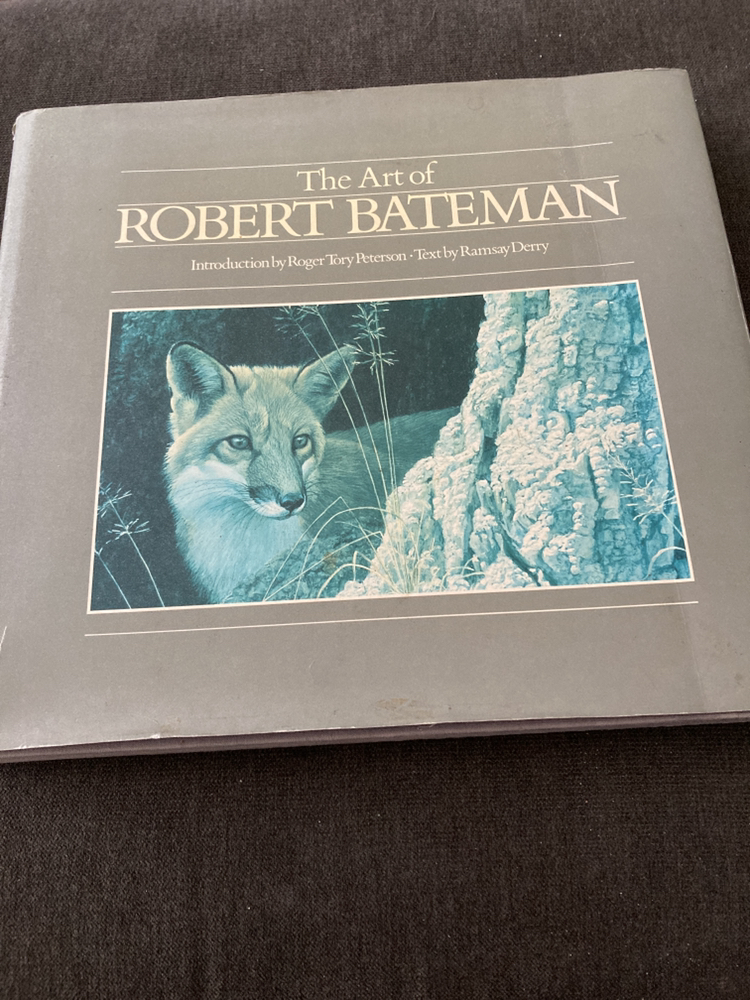 🥕FREE🥕 Artist Book image indicator(3)