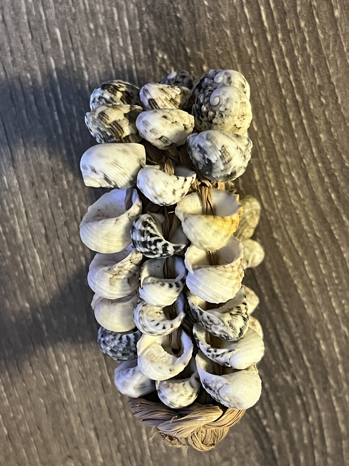 COWRIE SHELL BRACELET image indicator(2)