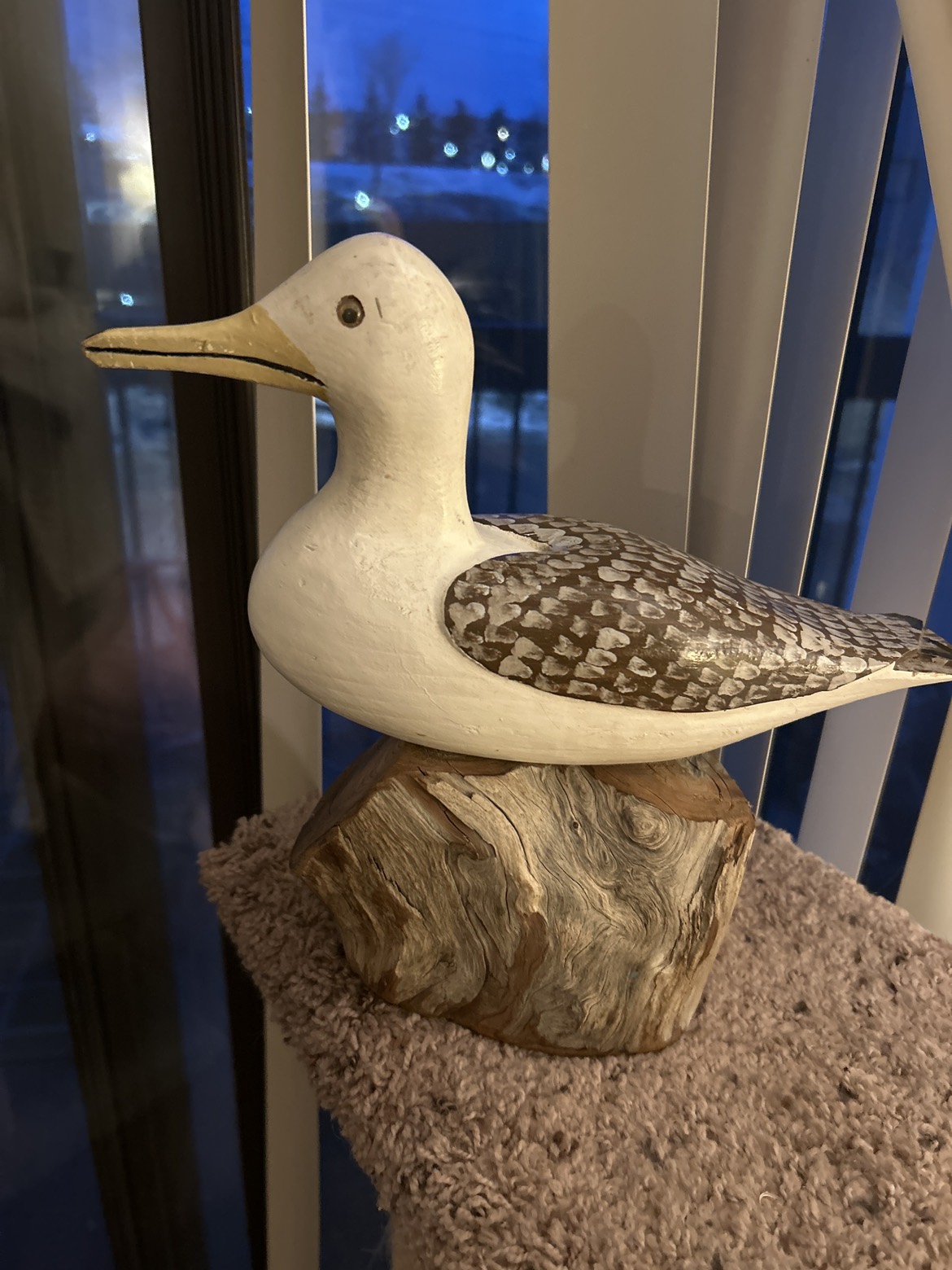 Sea Gull thumbnail