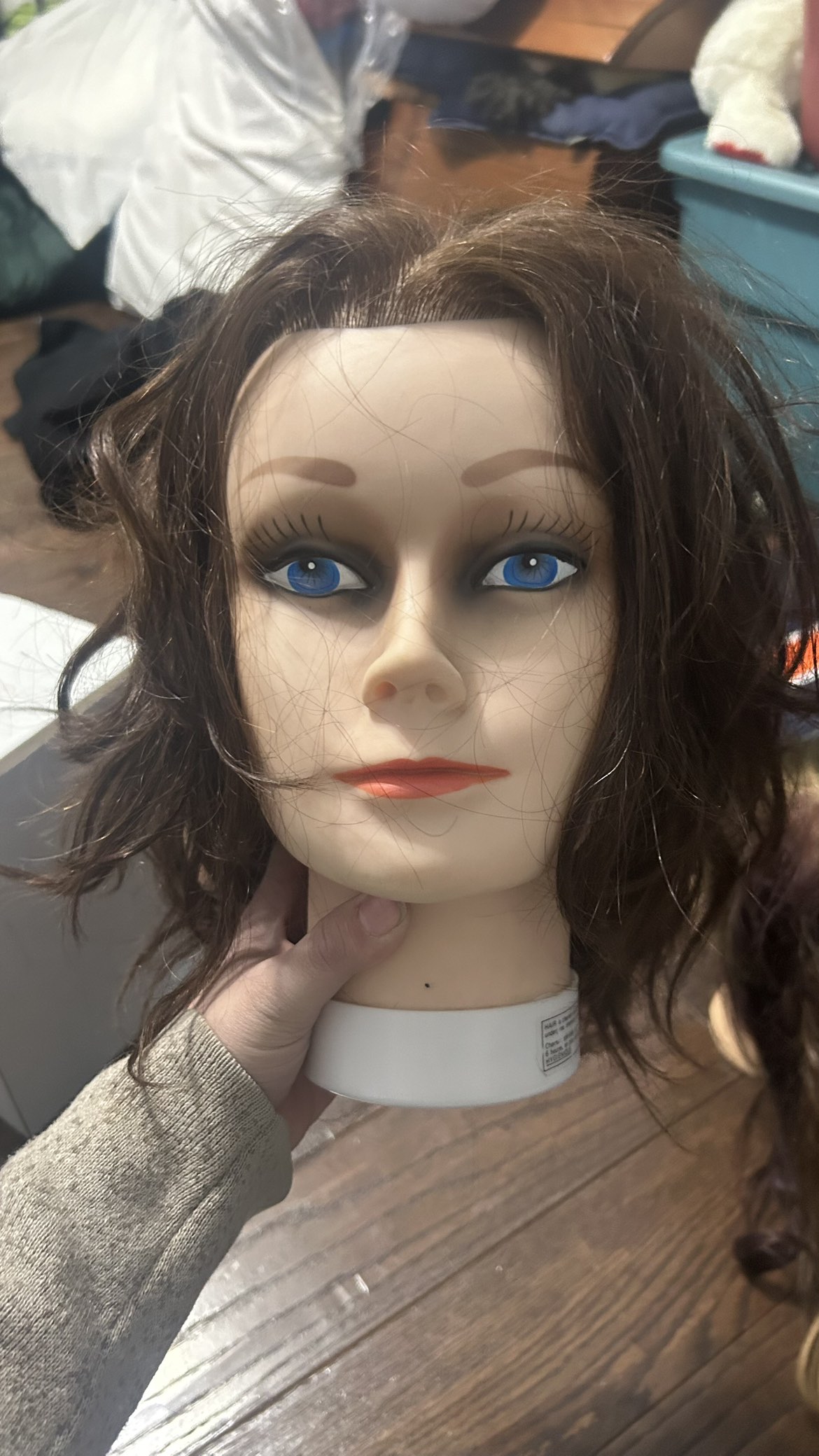 Two Shorter Haired Mannequin Heads thumbnail
