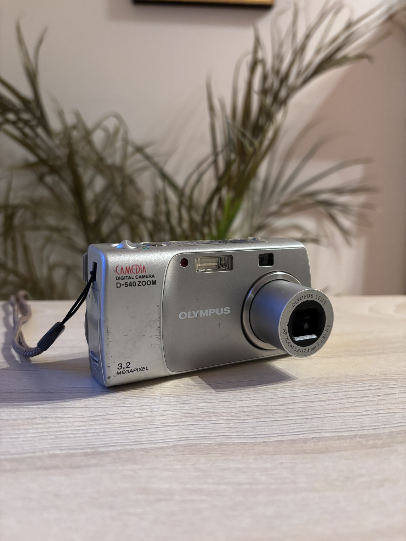 Olympus D-540 Zoom - photo 4