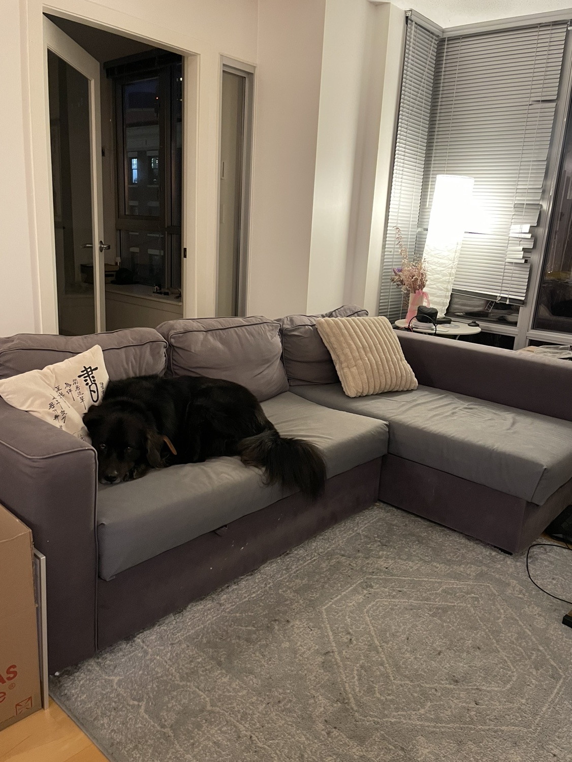 L-shape Pull-out Sofa