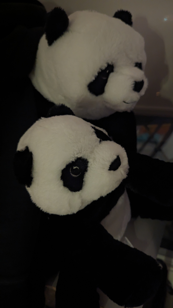 Panda plushies