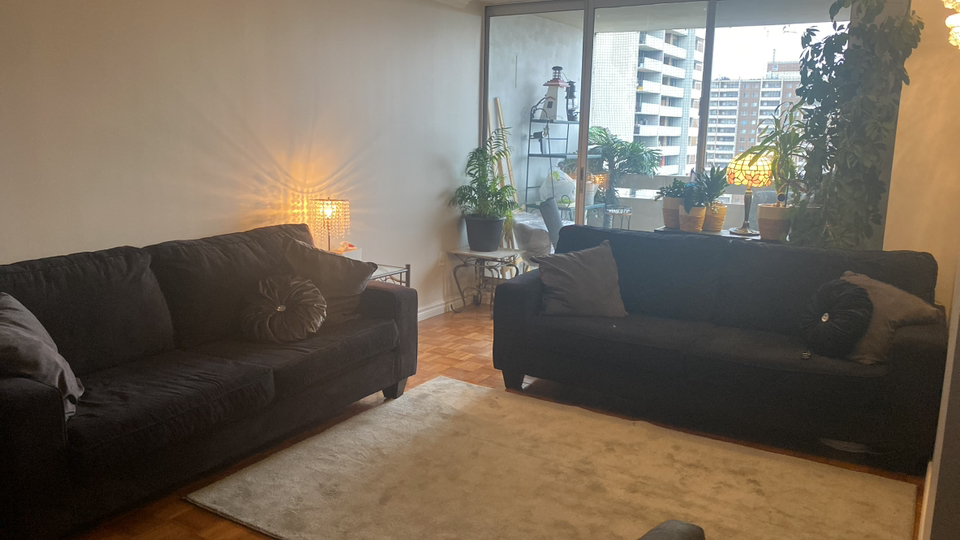 Beautiful comfortable couch thumbnail