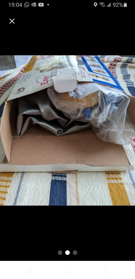 🥕 EXERCISE BALL image indicator(2)