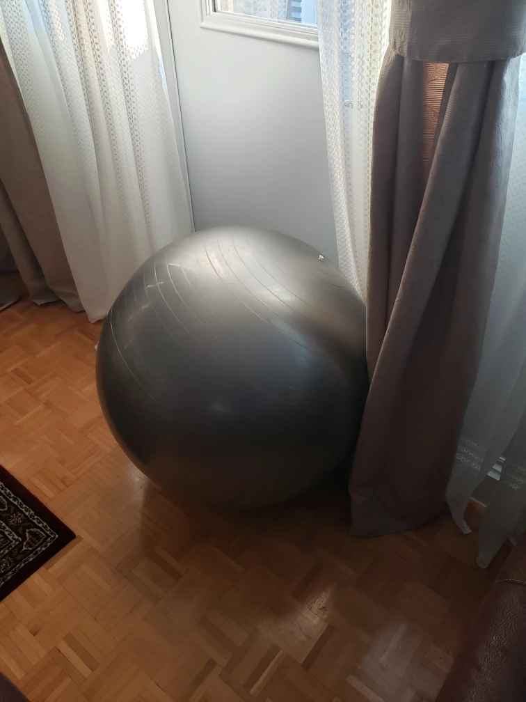 🥕 EXERCISE BALL image indicator(3)