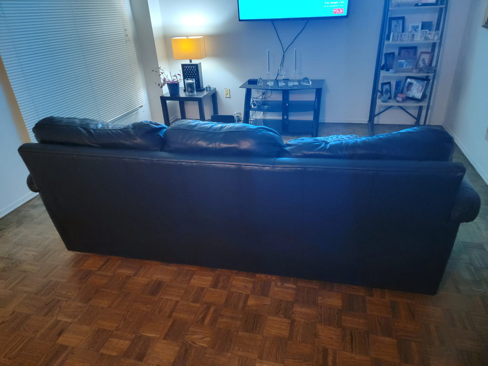 leather couch - photo 2