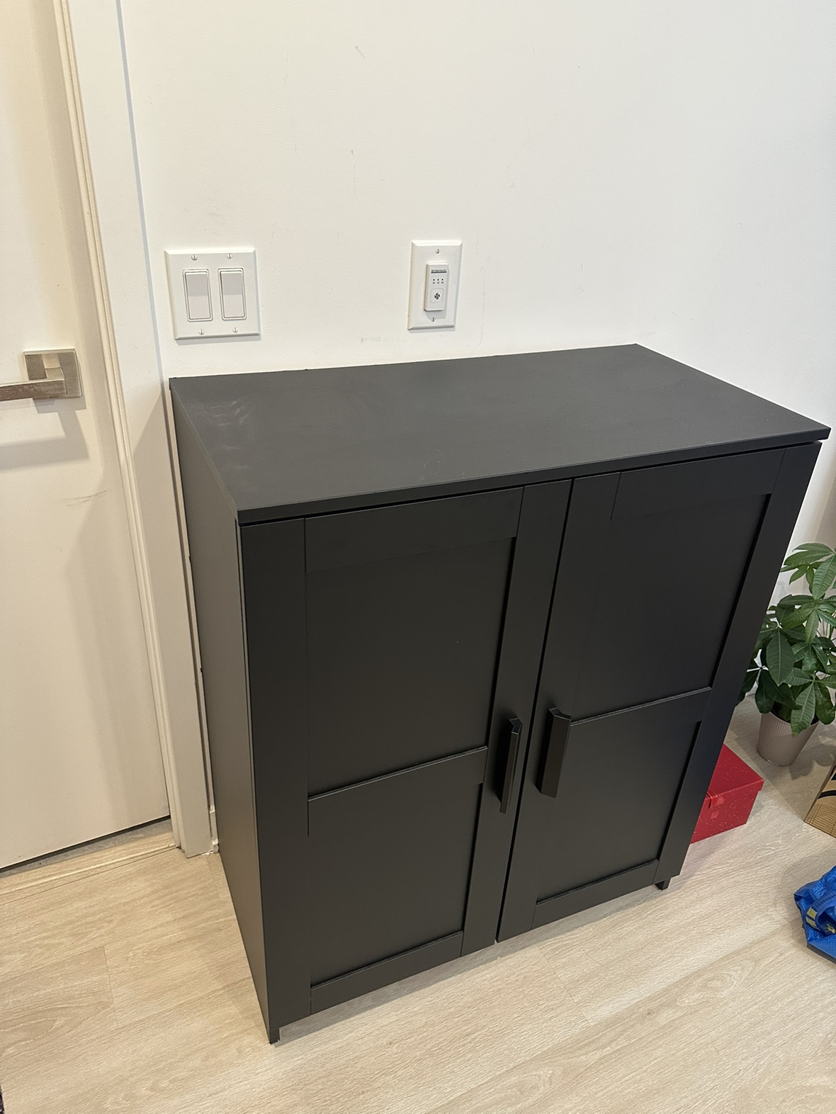 IKEA cabinet with doors - photo 4