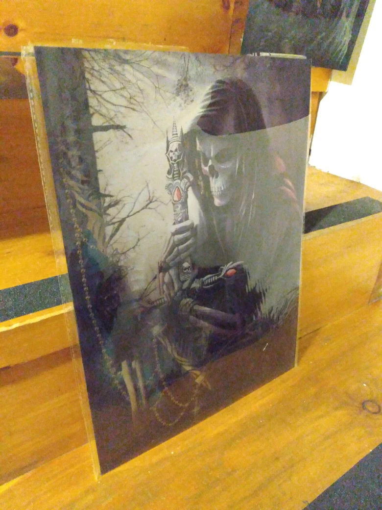 prints, pictures of skulls, skeletons in 3D and 4D - photo 2