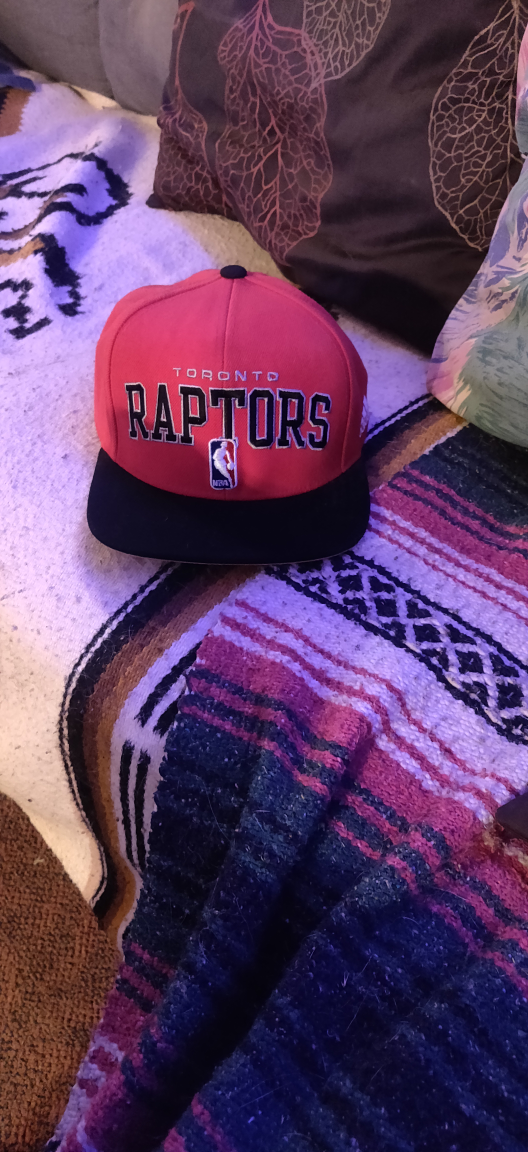 Toronto Raptors Hat thumbnail