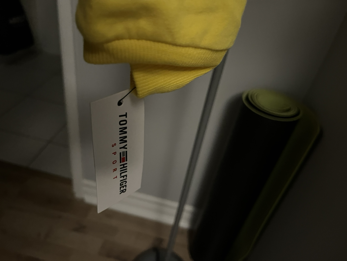 Tommy Hilfiger hoodie image indicator(3)