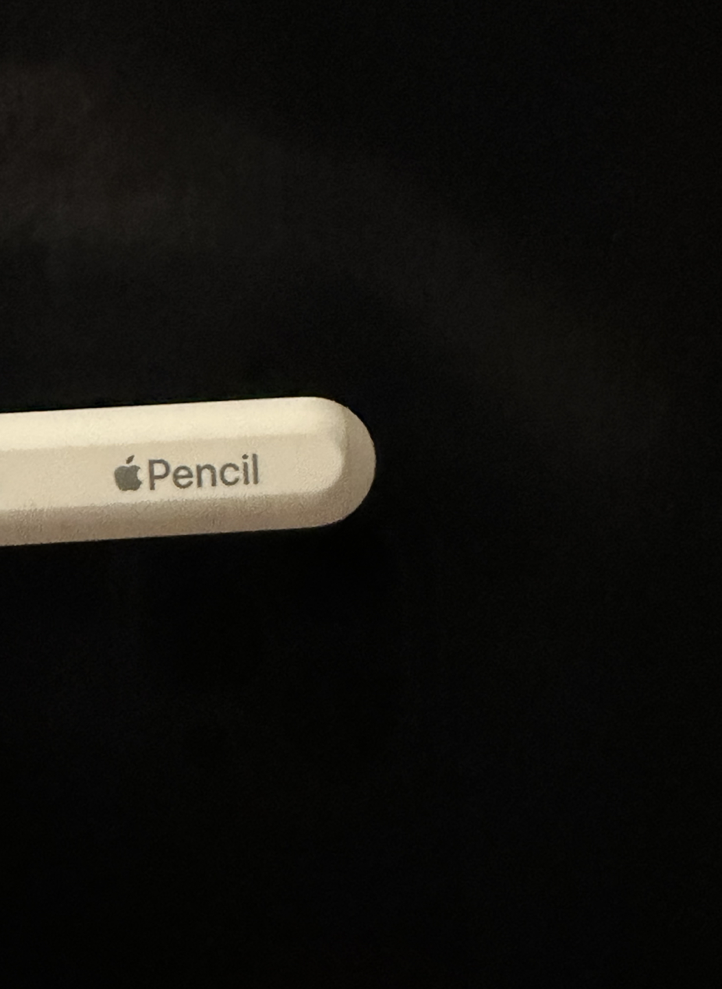 iPad Pro + Apple Pencil 265GB image indicator(5)