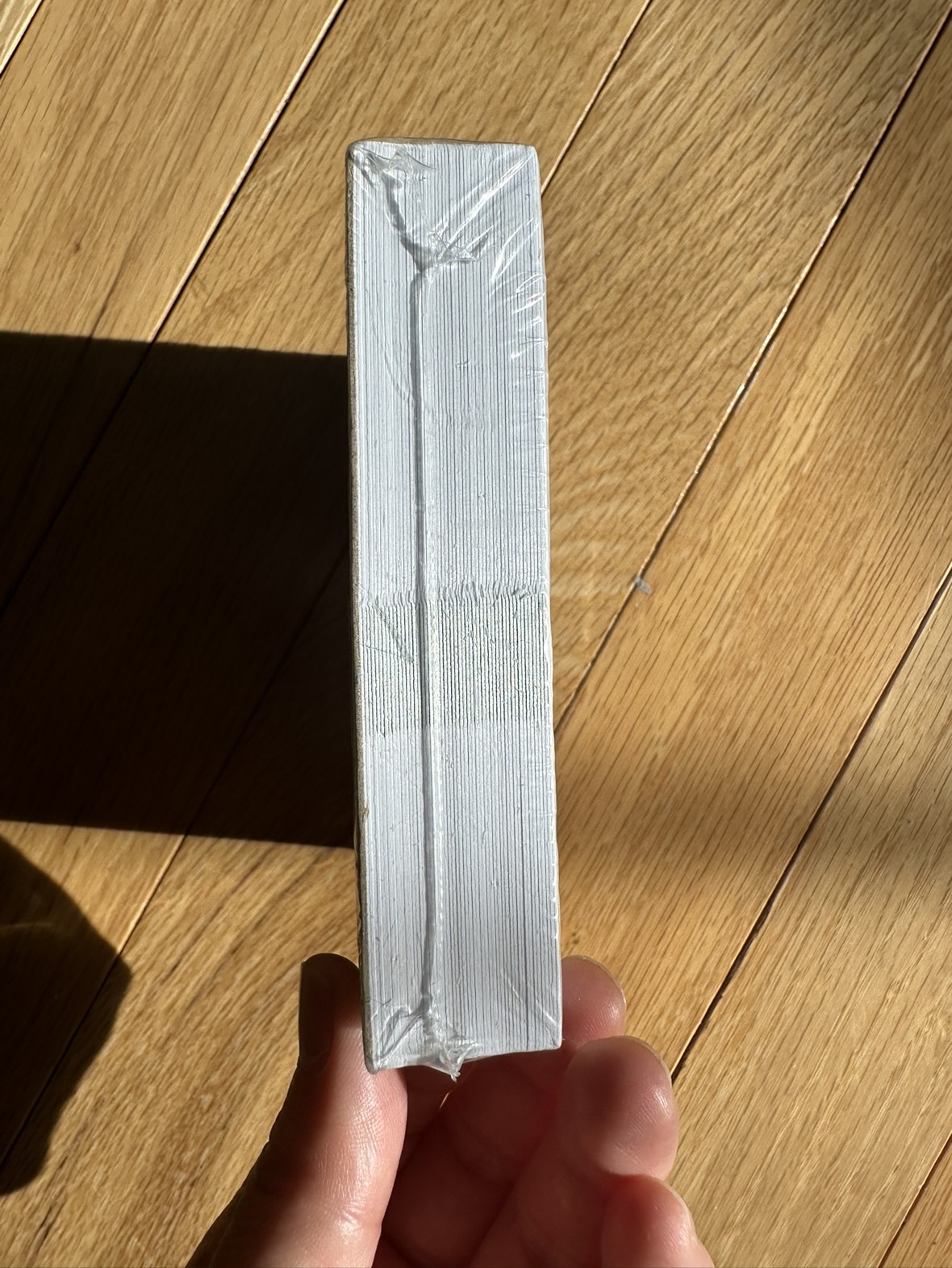 50 Place Cards - Holiday Foliage image indicator(2)