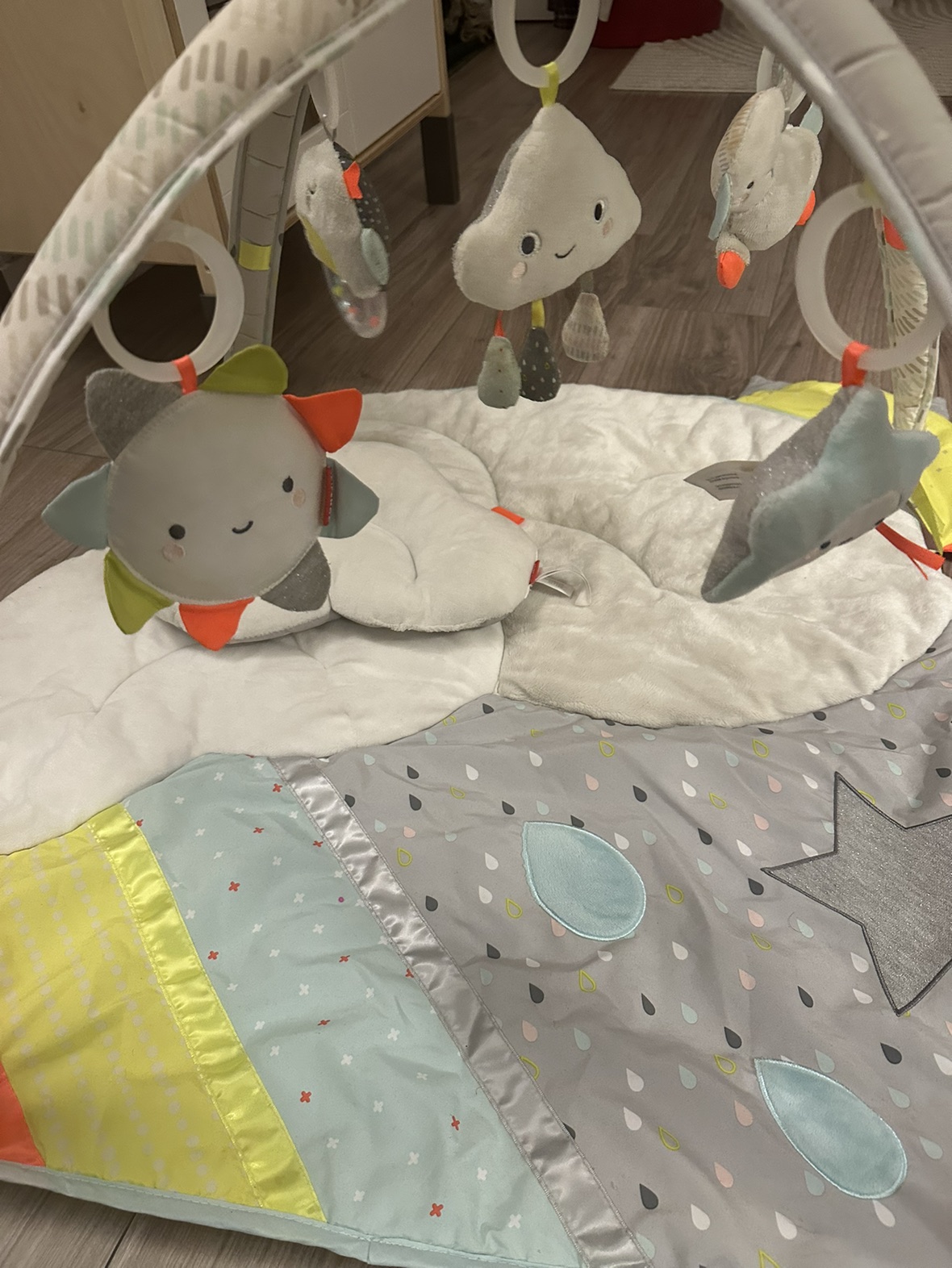 #freecycle Skiphop baby playmat image indicator(2)