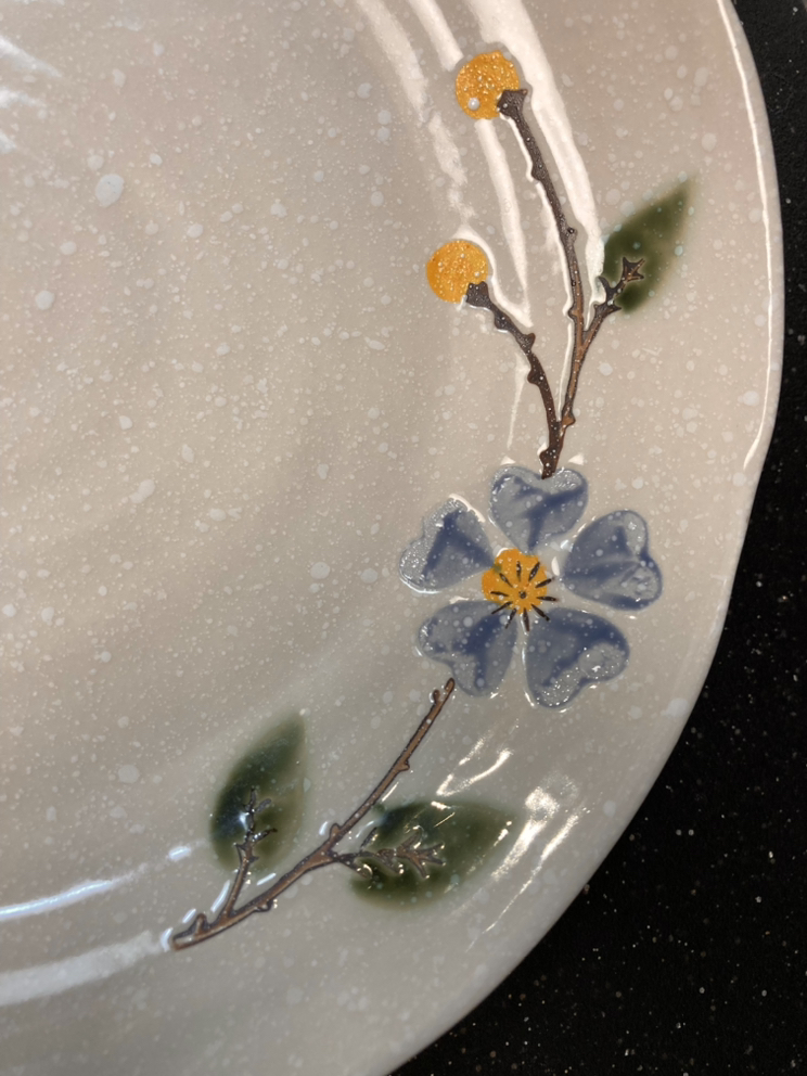 Dinner Plate image indicator(2)