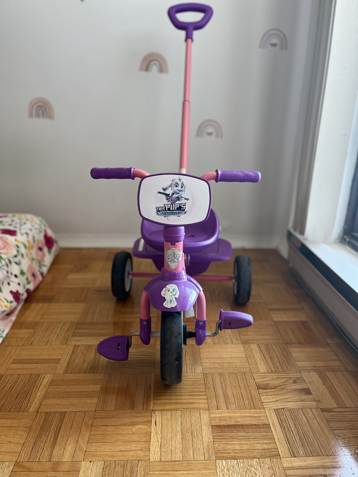 Smartike tricycle thumbnail